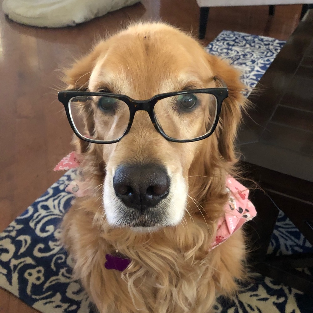 Meet your Posher, Karen